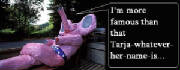 the_pink_elephant.jpg
